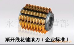 溫嶺市永恒刀具生產漸開線齒輪滾刀。m3α30A內孔27物美價廉